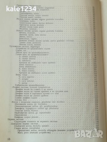 Учебник по медицина. Хистология и ембриология. А. Хаджилов. Repetitorium anatomicum. Гълъбов. , снимка 7 - Учебници, учебни тетрадки - 41308998