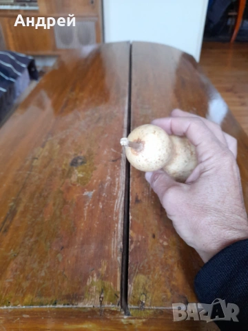 Стара кратуна #4, снимка 4 - Други ценни предмети - 53466690