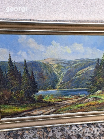 картина планински пейзаж маслени бои върху платно , снимка 7 - Картини - 53861518