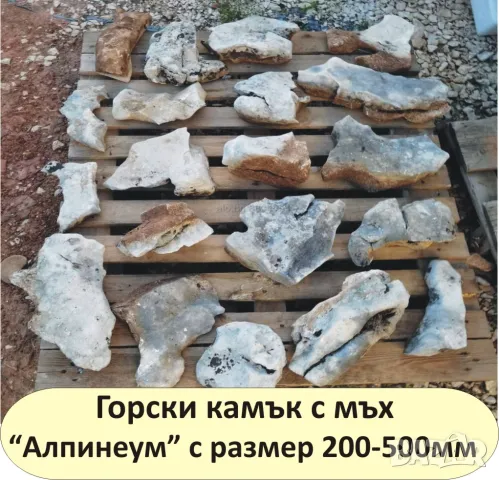 големи Горски КАМЪНИ за Декорация в двора, на цветни лехи, градински пътеки, кашпи, саксии, фонтани…, снимка 6 - Строителни материали - 49134864