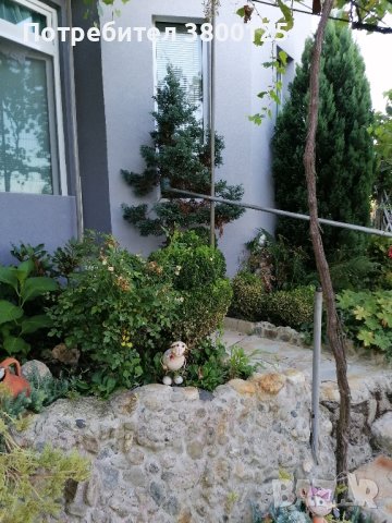 Къща с панорамна гледка , снимка 3 - Къщи - 42022460