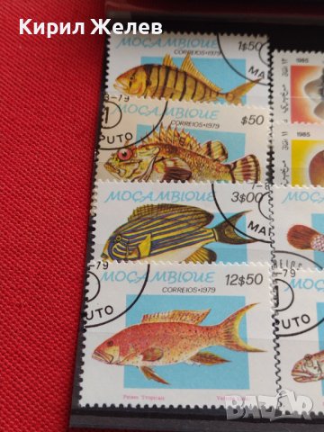 Пощенски марки смесени серий РИБИ,ГЪБИ редки за КОЛЕКЦИЯ 33346, снимка 5 - Филателия - 40422601
