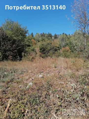 Парцел с. Панчарево, София, снимка 10 - Парцели - 51669556