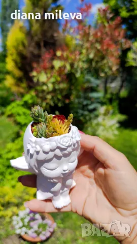 Ангелчета със седуми!, снимка 1