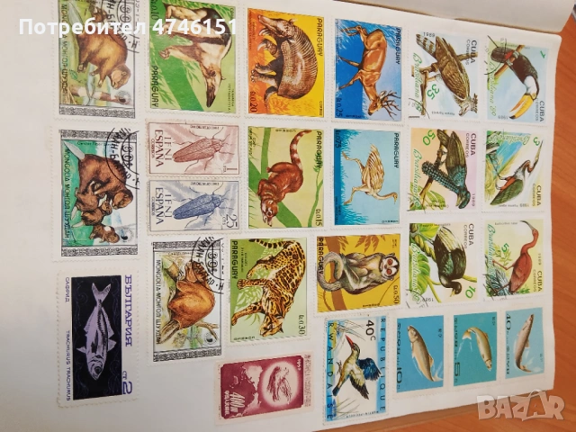 Марки, снимка 10 - Колекции - 53604006