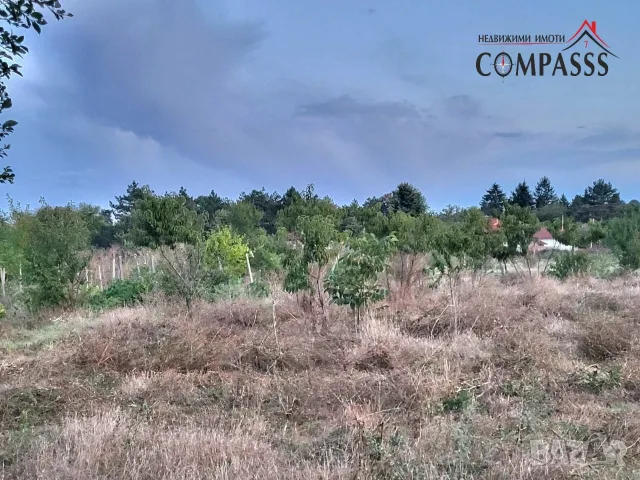 с. Пчеларово, обл. Добрич Къща с двор – 22000евро!, снимка 9 - Къщи - 56208607