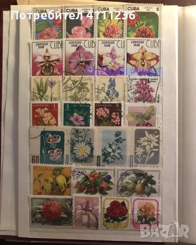 Класьор с марки на тема "Цветя", снимка 3 - Филателия - 53611717