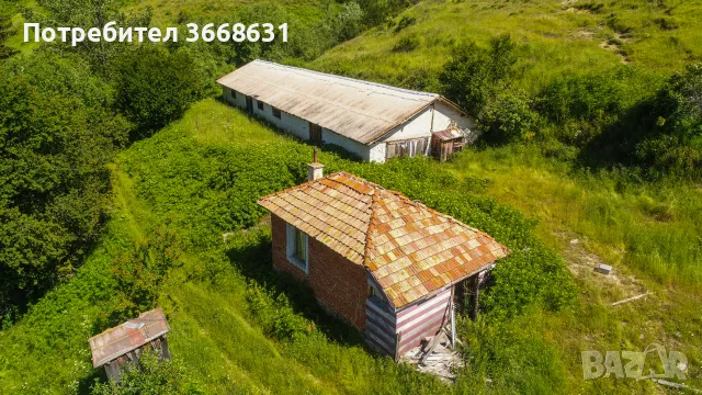 135,5 ДКА ЧАСТЕН ИМОТ С 3 СГРАДИ В РОДОПИТЕ – ЗОРНИЦА, ЧЕПЕЛАРЕ, снимка 3 - Парцели - 56230768