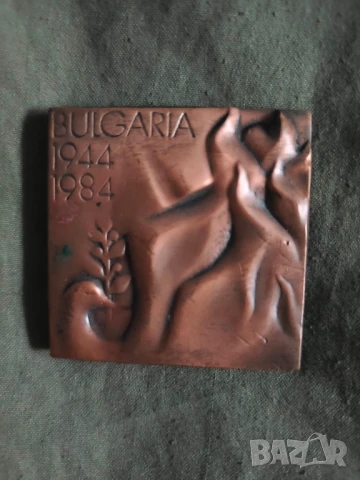 плакет БА - Седма мотострелкова дивизия Ямбол и Пиринска дивизия, снимка 5 - Други ценни предмети - 50840822