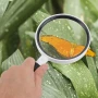 Увеличителна ръчна лупа за четене 4X увеличение стъклена леща деца насекоми работа с дръжка джобна, снимка 15