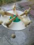 Дървена детска играчка кълвящи кокошки българска народно творчество, снимка 1 - Други ценни предмети - 41678515