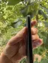 IPhone 16 128 GB, снимка 7
