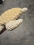 морски фигурки , снимка 9