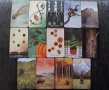 78 съвременни таро карти: Urban Tarot & Pagan Tarot & Spacious Tarot, снимка 16