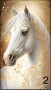 Картина с кон, различни модели, снимка 4