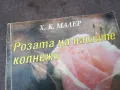 РОЗАТА НА НАШИТЕ КОПНЕЖИ 1002250528, снимка 2