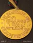 Два медала 90/95г. От създаването на спортен клуб TV1888 редки за КОЛЕКЦИЯ ДЕКОРАЦИЯ 38366, снимка 3