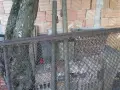 Продавам 2 бр оградни врати и колове за паркоместо в имот, снимка 2