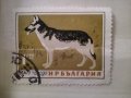 Стари  български марки с кучета, снимка 3