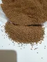 Гранули за дискуси и цихлиди, снимка 2