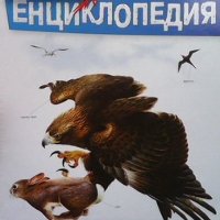 Детска енциклопедия. Том 7: Птиците, снимка 1 - Детски книжки - 41956943