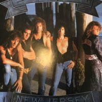 Оригинален постер на  Bon Jovi, снимка 1 - Други музикални жанрове - 38841161