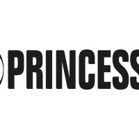 НОВА! Електрическа скара с раклет 6 души Princess Grill Raclette 162727, снимка 7 - Скари - 40511569