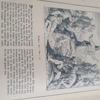 Прекрасна антикварна немска картинна библия , снимка 12 - Антикварни и старинни предмети - 39105262