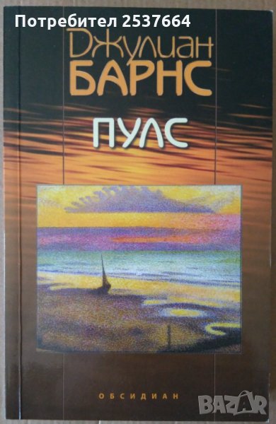 Пулс  Джулиан Барнс, снимка 1
