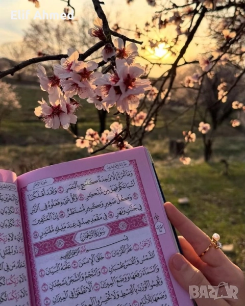 събиране на двойки, снимка 1