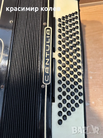 немски акордеон "CANTULIA"/96 басов/, снимка 2 - Акордеони - 53794584