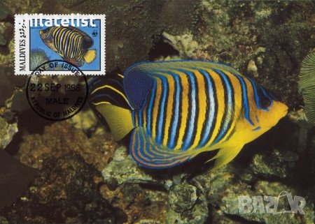 Малдиви 1986 - 4 броя Карти Максимум - WWF, снимка 2 - Филателия - 39013172