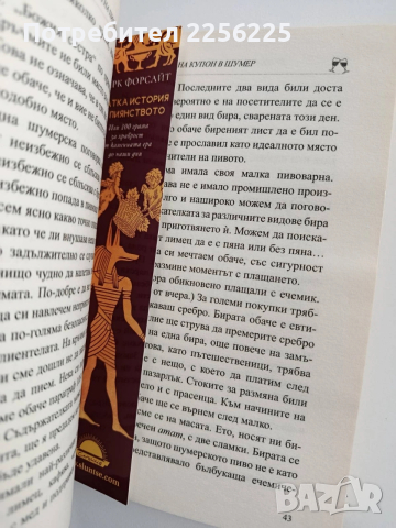 Кратка история на пиянството, снимка 2 - Художествена литература - 53372777