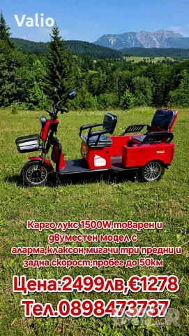 Електрическа триколка двуместна товарна 1000W, снимка 5 - Мотоциклети и мототехника - 55762740