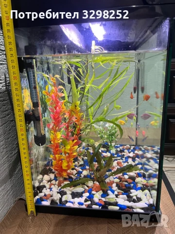 Аквариум, снимка 6 - Оборудване за аквариуми - 50885634
