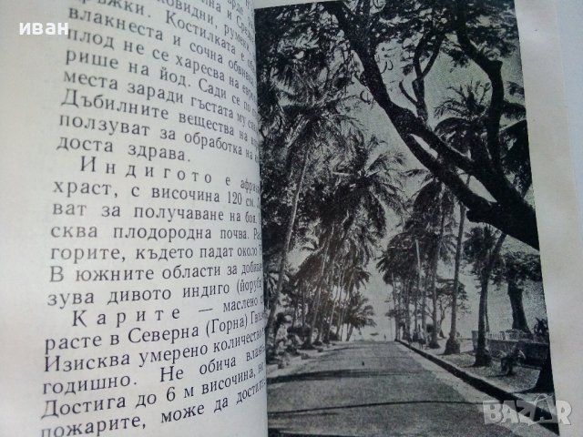 Гвинея - Ангел Овчаров - 1963г. , снимка 5 - Енциклопедии, справочници - 42103132
