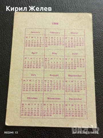 Рядко календарче Billy Idol 88г. уникат за КОЛЕКЦИЯ ДЕКОРАЦИЯ 26967, снимка 6 - Колекции - 51216315