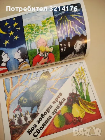 (НОВО) Библията. Пет онагледени доктринални урока, които да научат децата за Библията, Божието слово, снимка 2 - Специализирана литература - 50271188