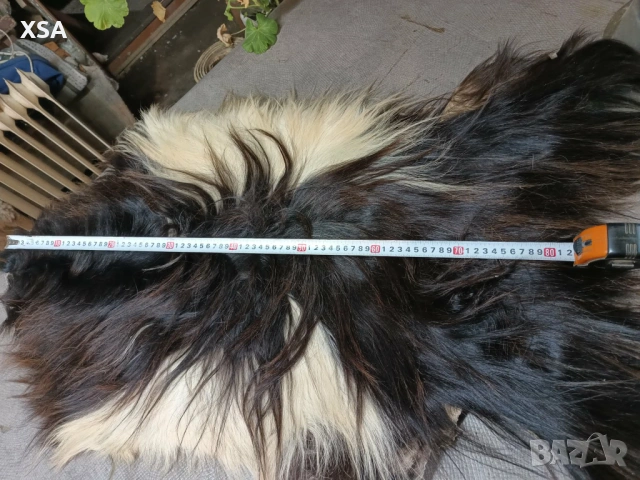 Естествени кожи от коза, снимка 12 - Други ценни предмети - 52265860