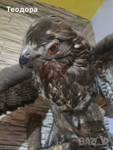 Продава се, снимка 5 - Други - 49883429