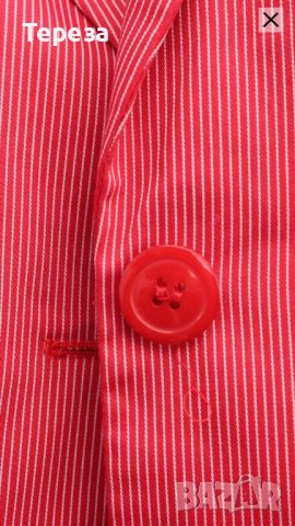 Дамско сако райе / L-XL , снимка 3 - Сака - 41747055