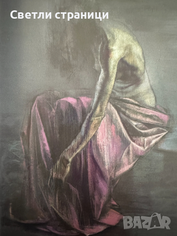 Десислава Минчева/Dessislava Mincheva албум, снимка 3 - Специализирана литература - 44792397