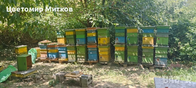 Кошери ДБ, снимка 2 - За пчели - 53008419