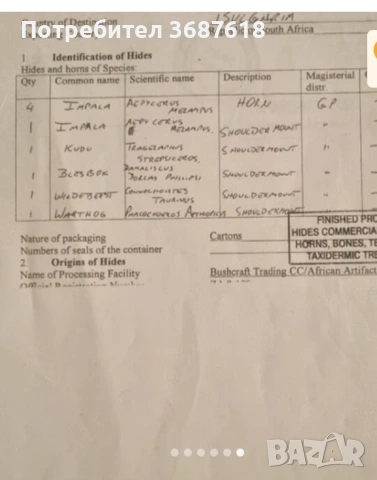 Ловен трофей, снимка 4 - Други - 53853651