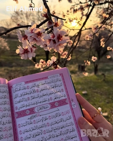 събиране на двойки, снимка 1