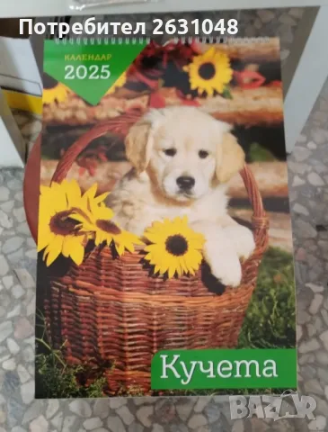 	календар за 2025, снимка 1 - Други - 48064087