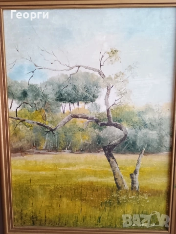 Картина масло-86, снимка 3 - Декорация за дома - 53768468