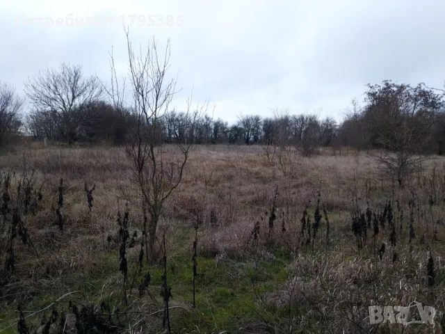 Продавам селска кирпичена къща, снимка 10 - Къщи - 48562768