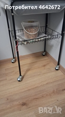 ОБЕЩАН!!! Корела с оборудвана клетка със стойка, снимка 2 - Папагали - 52809444