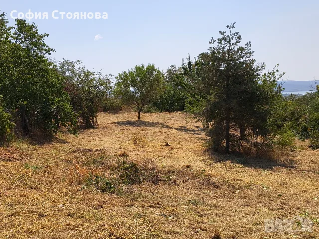 Панорамен РАВЕН парцел в Регулация, 1200 кв.м в с. о."МЕНТЕШЕ" , снимка 3 - Парцели - 55778073